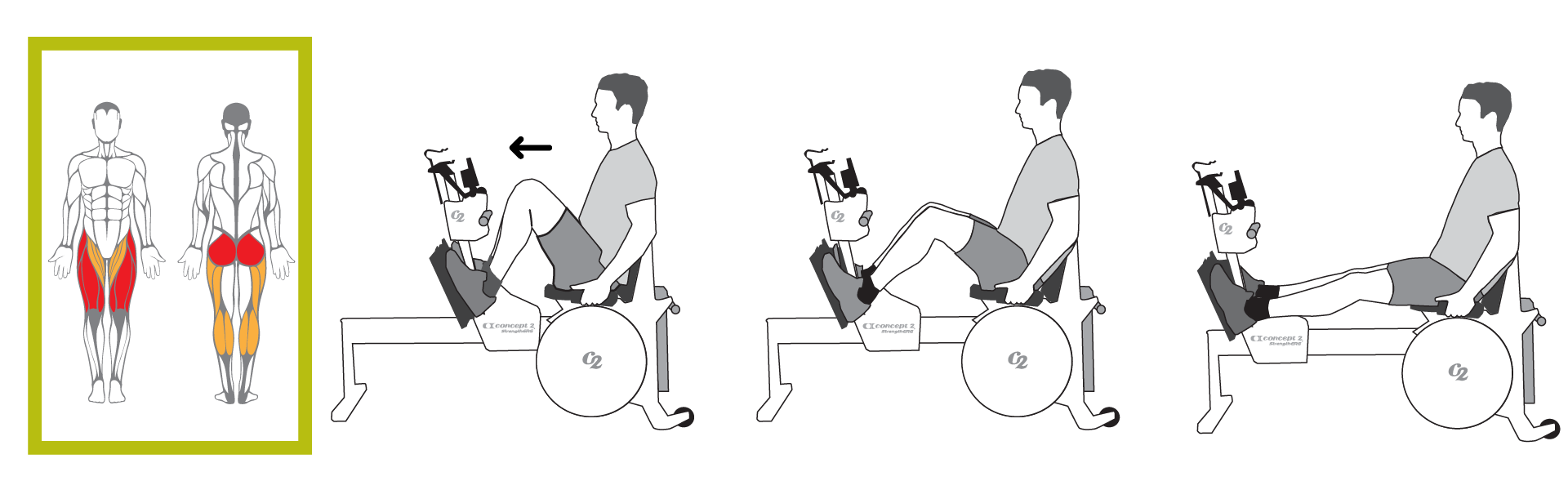 Muscles Used for Leg Press